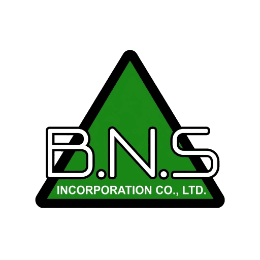 B.N.S logo